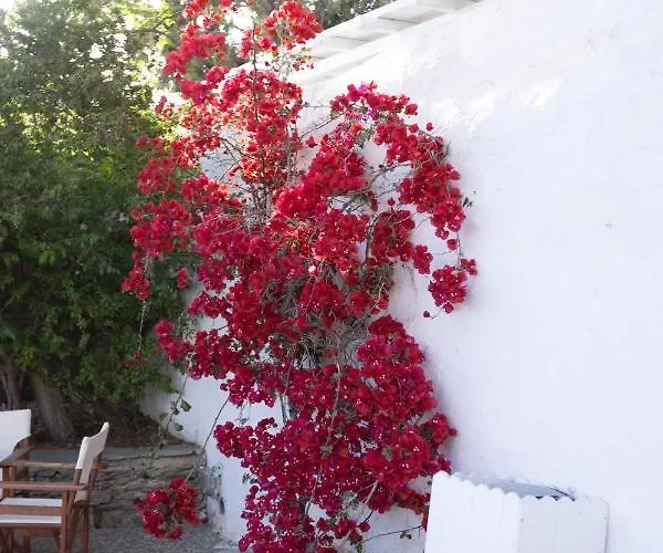 Petit Andromeda Mykonos I Apart Otel 3*