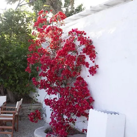 Petit Andromeda Mykonos I Ξενοδοχείο με διαμερίσματα 4*
